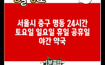 서울시 중구 명동 24시간 토요일 일요일 휴일 공휴일 야간 약국