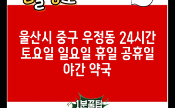 울산시 중구 우정동 24시간 토요일 일요일 휴일 공휴일 야간 약국