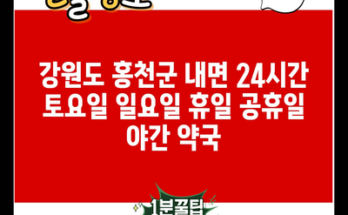 강원도 홍천군 내면 24시간 토요일 일요일 휴일 공휴일 야간 약국