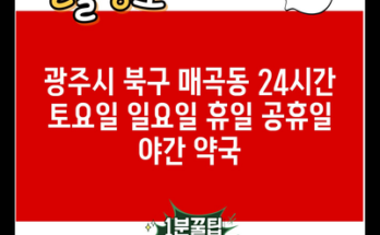 광주시 북구 매곡동 24시간 토요일 일요일 휴일 공휴일 야간 약국