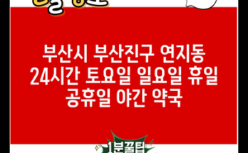 부산시 부산진구 연지동 24시간 토요일 일요일 휴일 공휴일 야간 약국