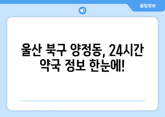 울산시 북구 양정동 24시간 토요일 일요일 휴일 공휴일 야간 약국