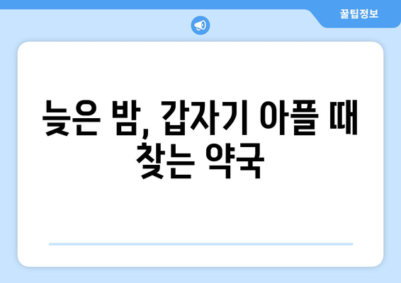 광주시 북구 문흥1동 24시간 토요일 일요일 휴일 공휴일 야간 약국