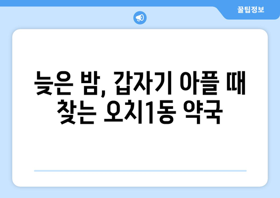 광주시 북구 오치1동 24시간 토요일 일요일 휴일 공휴일 야간 약국