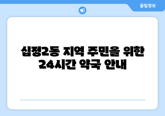 인천시 부평구 십정2동 24시간 토요일 일요일 휴일 공휴일 야간 약국