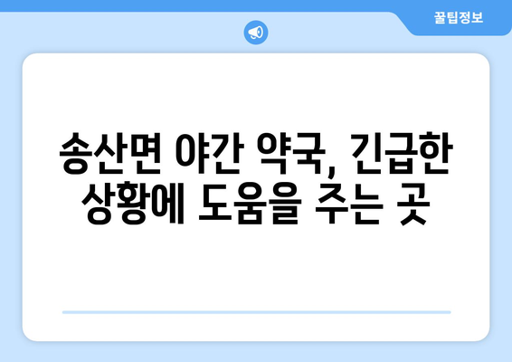 충청남도 당진시 송산면 24시간 토요일 일요일 휴일 공휴일 야간 약국