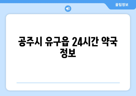 충청남도 공주시 유구읍 24시간 토요일 일요일 휴일 공휴일 야간 약국