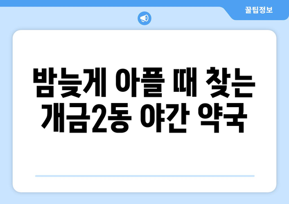 부산시 부산진구 개금2동 24시간 토요일 일요일 휴일 공휴일 야간 약국