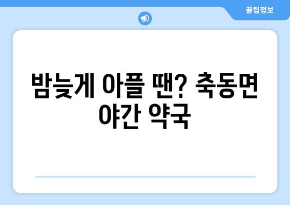 경상남도 사천시 축동면 24시간 토요일 일요일 휴일 공휴일 야간 약국