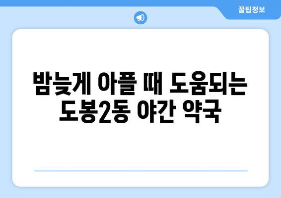 서울시 도봉구 도봉2동 24시간 토요일 일요일 휴일 공휴일 야간 약국