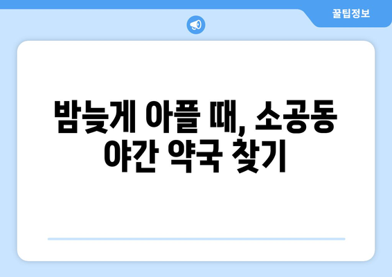 서울시 중구 소공동 24시간 토요일 일요일 휴일 공휴일 야간 약국