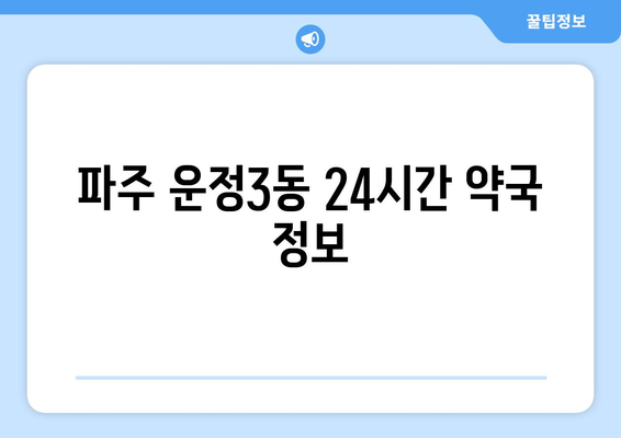 경기도 파주시 운정3동 24시간 토요일 일요일 휴일 공휴일 야간 약국