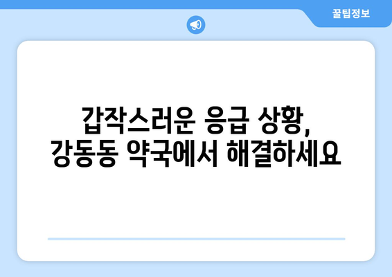 부산시 강서구 강동동 24시간 토요일 일요일 휴일 공휴일 야간 약국