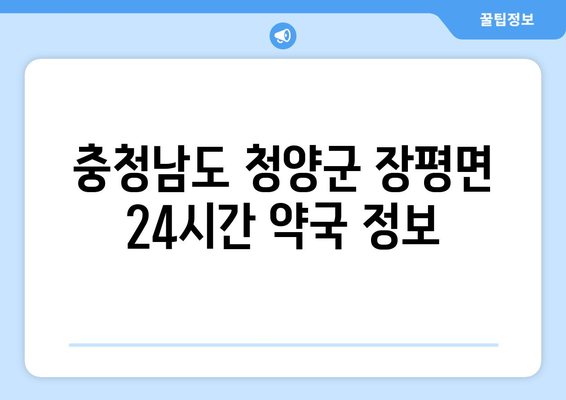 충청남도 청양군 장평면 24시간 토요일 일요일 휴일 공휴일 야간 약국