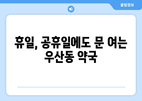 강원도 원주시 우산동 24시간 토요일 일요일 휴일 공휴일 야간 약국