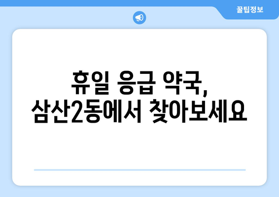 인천시 부평구 삼산2동 24시간 토요일 일요일 휴일 공휴일 야간 약국