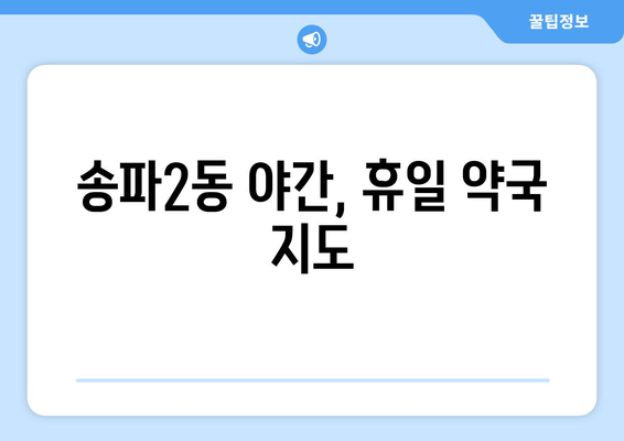 서울시 송파구 송파2동 24시간 토요일 일요일 휴일 공휴일 야간 약국