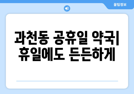 경기도 과천시 과천동 24시간 토요일 일요일 휴일 공휴일 야간 약국