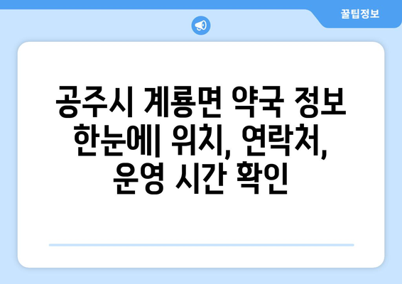 충청남도 공주시 계룡면 24시간 토요일 일요일 휴일 공휴일 야간 약국