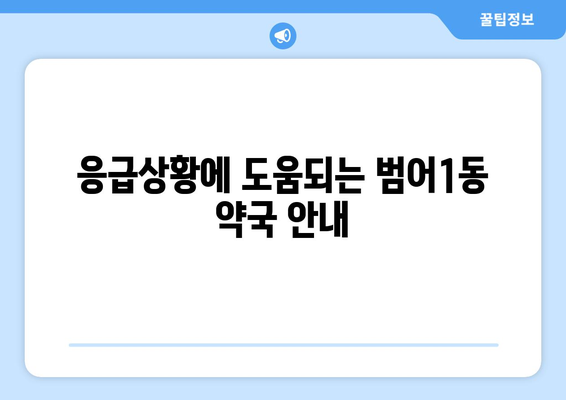 대구시 수성구 범어1동 24시간 토요일 일요일 휴일 공휴일 야간 약국