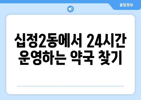 인천시 부평구 십정2동 24시간 토요일 일요일 휴일 공휴일 야간 약국