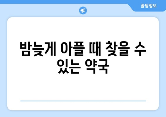 인천시 부평구 산곡3동 24시간 토요일 일요일 휴일 공휴일 야간 약국