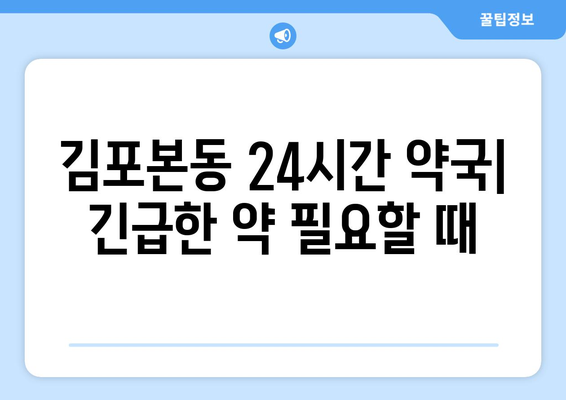 경기도 김포시 김포본동 24시간 토요일 일요일 휴일 공휴일 야간 약국