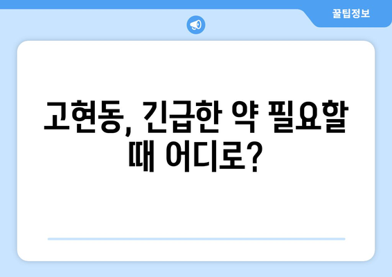 경상남도 거제시 고현동 24시간 토요일 일요일 휴일 공휴일 야간 약국