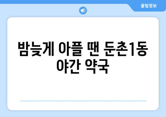 서울시 강동구 둔촌제1동 24시간 토요일 일요일 휴일 공휴일 야간 약국