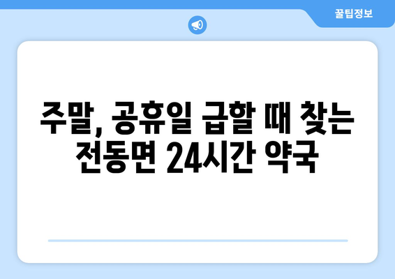 세종시 세종특별자치시 전동면 24시간 토요일 일요일 휴일 공휴일 야간 약국