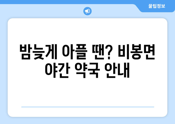 충청남도 청양군 비봉면 24시간 토요일 일요일 휴일 공휴일 야간 약국