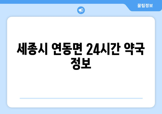 세종시 세종특별자치시 연동면 24시간 토요일 일요일 휴일 공휴일 야간 약국