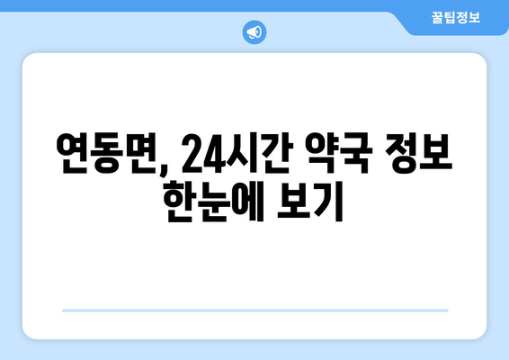 세종시 세종특별자치시 연동면 24시간 토요일 일요일 휴일 공휴일 야간 약국