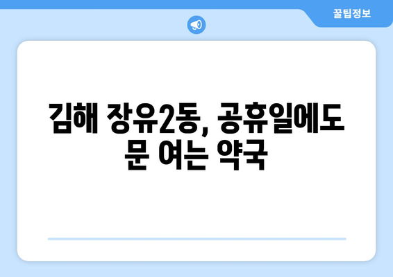 경상남도 김해시 장유2동 24시간 토요일 일요일 휴일 공휴일 야간 약국