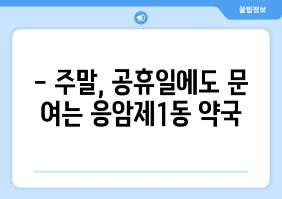 서울시 은평구 응암제1동 24시간 토요일 일요일 휴일 공휴일 야간 약국