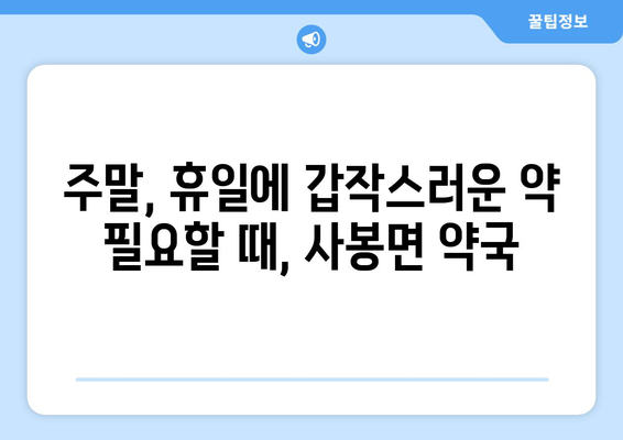 경상남도 진주시 사봉면 24시간 토요일 일요일 휴일 공휴일 야간 약국