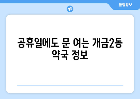 부산시 부산진구 개금2동 24시간 토요일 일요일 휴일 공휴일 야간 약국