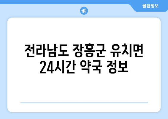 전라남도 장흥군 유치면 24시간 토요일 일요일 휴일 공휴일 야간 약국