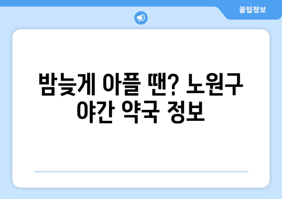 서울시 노원구 중계2·3동 24시간 토요일 일요일 휴일 공휴일 야간 약국