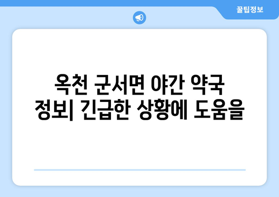 충청북도 옥천군 군서면 24시간 토요일 일요일 휴일 공휴일 야간 약국