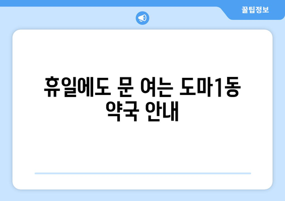 대전시 서구 도마1동 24시간 토요일 일요일 휴일 공휴일 야간 약국