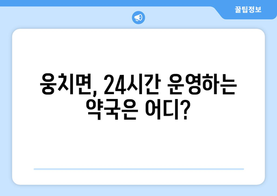 전라남도 보성군 웅치면 24시간 토요일 일요일 휴일 공휴일 야간 약국