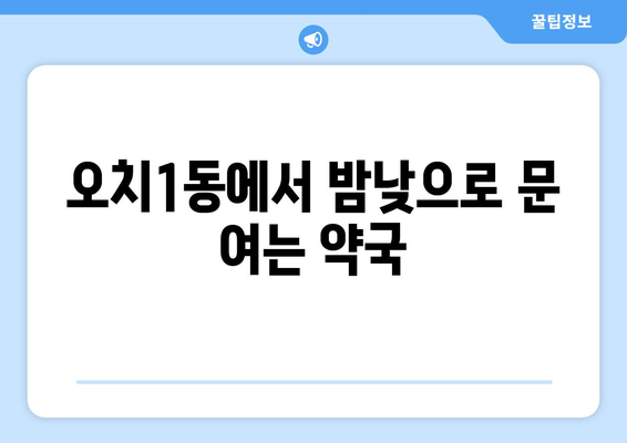 광주시 북구 오치1동 24시간 토요일 일요일 휴일 공휴일 야간 약국