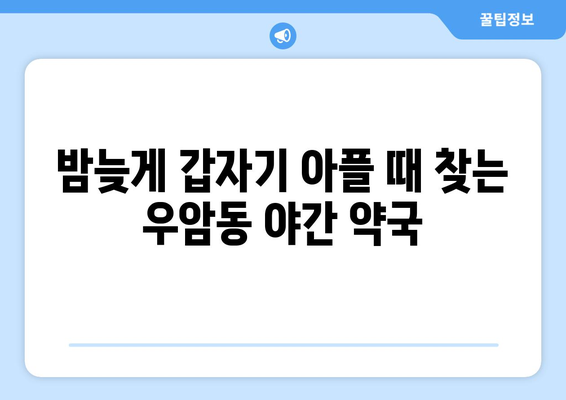 부산시 남구 우암동 24시간 토요일 일요일 휴일 공휴일 야간 약국