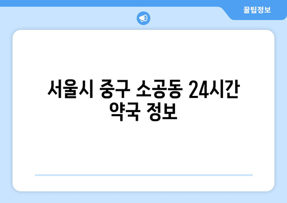 서울시 중구 소공동 24시간 토요일 일요일 휴일 공휴일 야간 약국