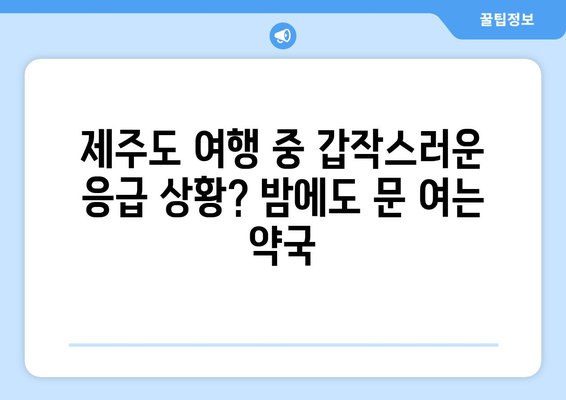 제주도 제주시 일도2동 24시간 토요일 일요일 휴일 공휴일 야간 약국