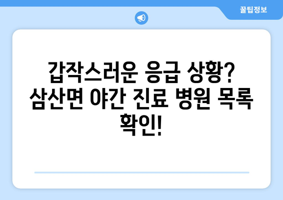 전라남도 해남군 삼산면 일요일 휴일 공휴일 야간 진료병원 리스트