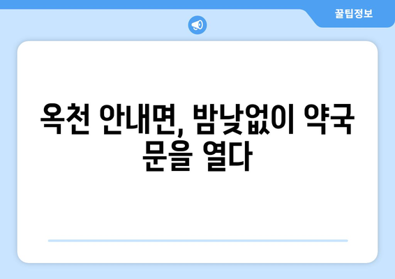 충청북도 옥천군 안내면 24시간 토요일 일요일 휴일 공휴일 야간 약국