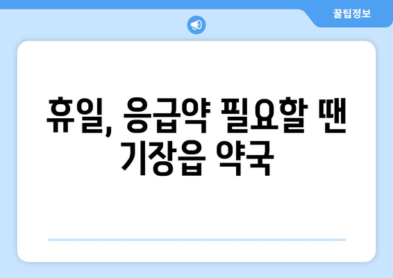 부산시 기장군 기장읍 24시간 토요일 일요일 휴일 공휴일 야간 약국