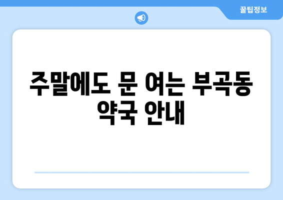 강원도 동해시 부곡동 24시간 토요일 일요일 휴일 공휴일 야간 약국